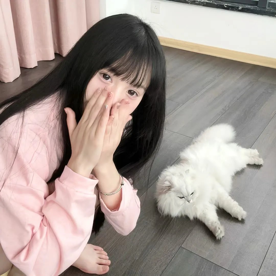 吸血少女大战少女弗兰肯