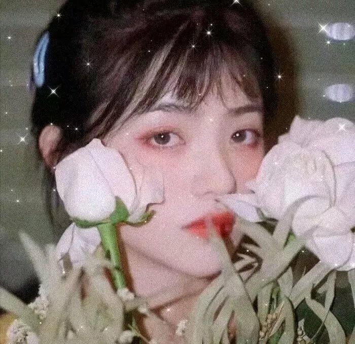 古宫春色